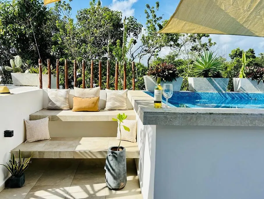 Private Rooftop Pool - Bike To Ruins Or Beach 图卢姆