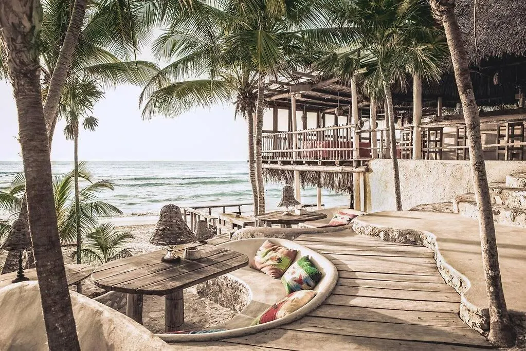 别墅 Private Rooftop Pool - Bike To Ruins Or Beach 图卢姆