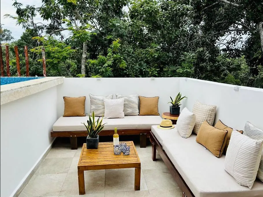 Private Rooftop Pool - Bike To Ruins Or Beach 图卢姆