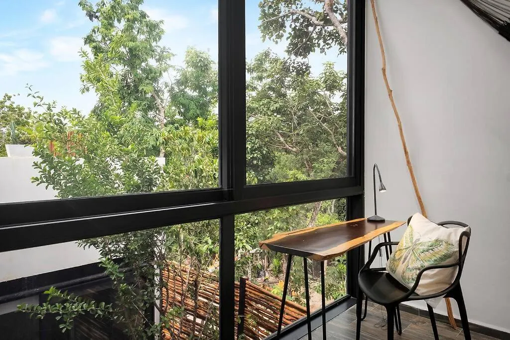 Private Rooftop Pool - Bike To Ruins Or Beach 图卢姆